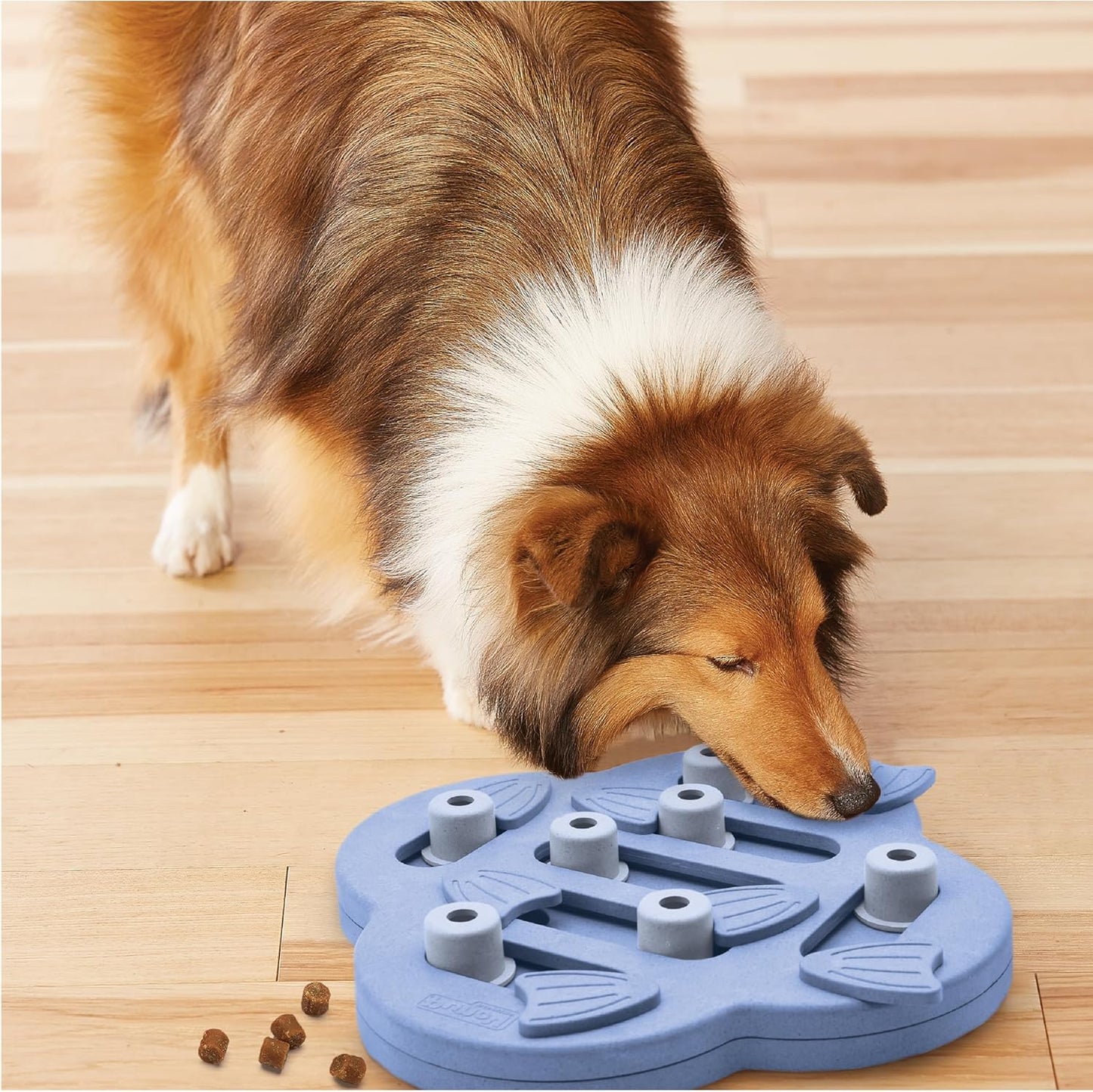 Outward Hound by Nina Ottosson Dog Hide N'