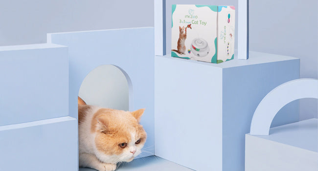 Interactive Cat Toy Automatic Cat Toys for Indoor Cats, 3-in-1 Electric Cat Toy USB Rechargeable, Kitten Toy Cat Exercise Toys