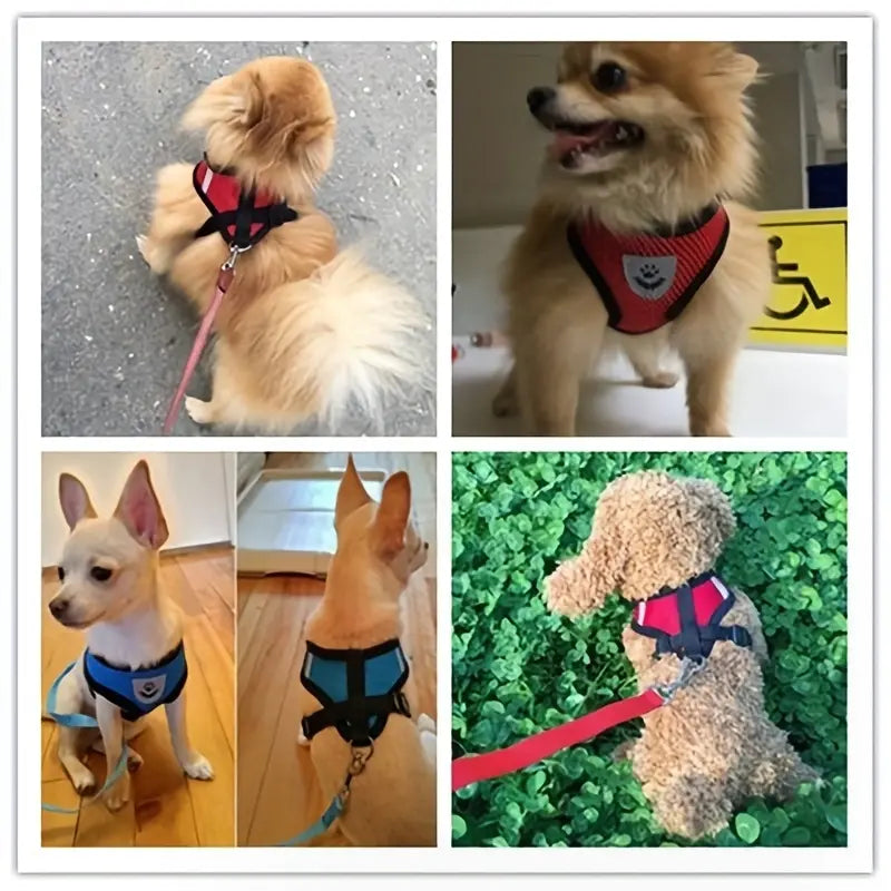 Reflective Pet Harness And Leash Set For Dogs And Cats