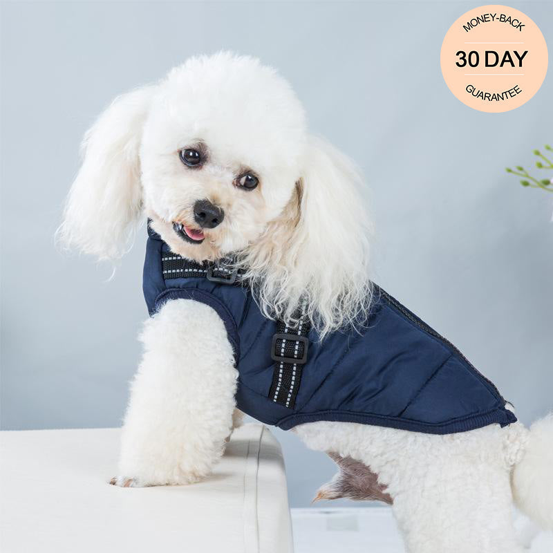 Water-Resistant Cosy Dog Jacket With Harness