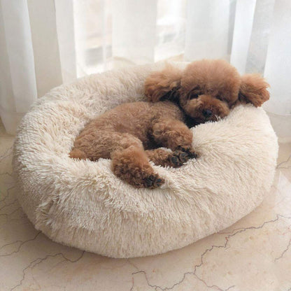 Orthopedic Pet Bed "SleepyPaws"