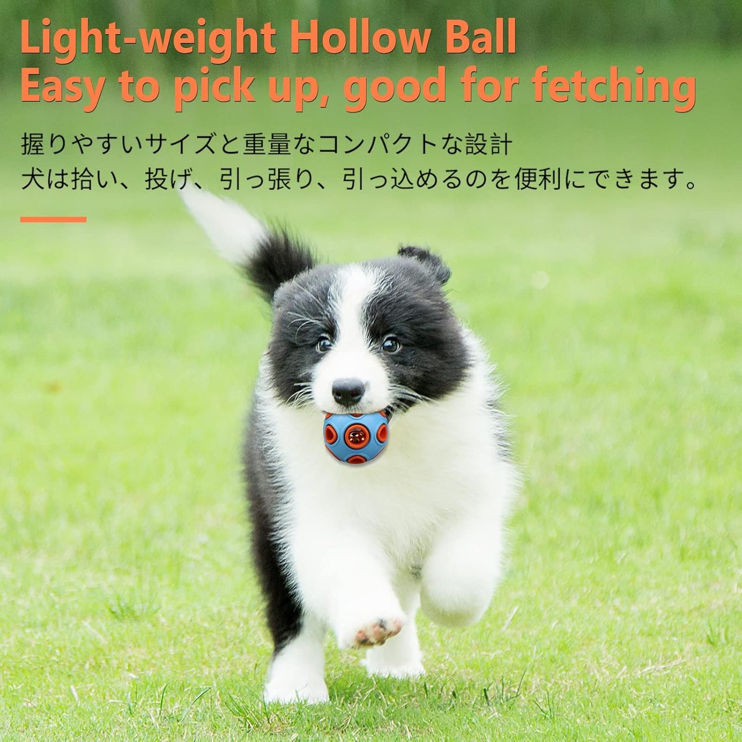 SCHITEC Dog Balls with Bell Sound