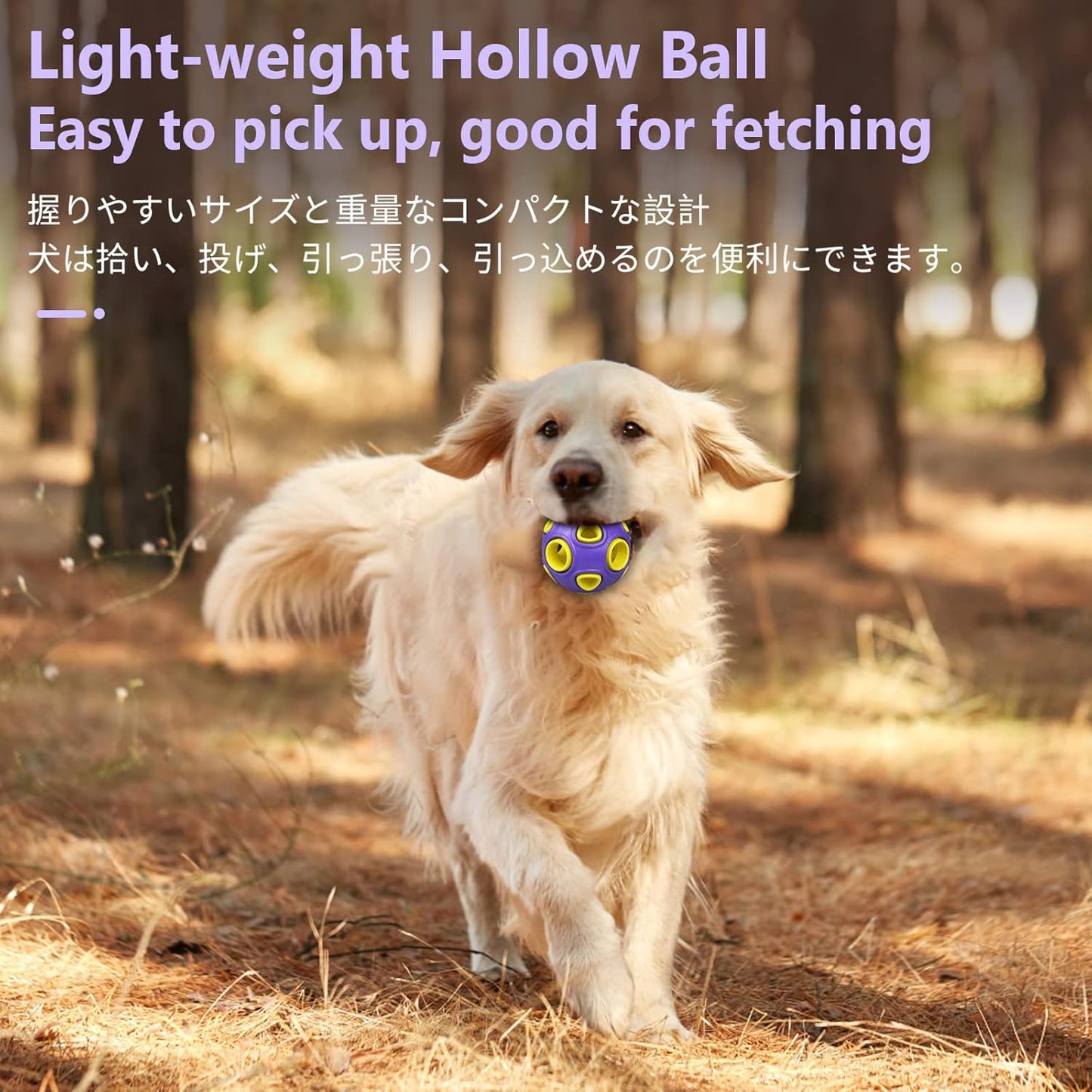 SCHITEC Dog Balls with Bell Sound