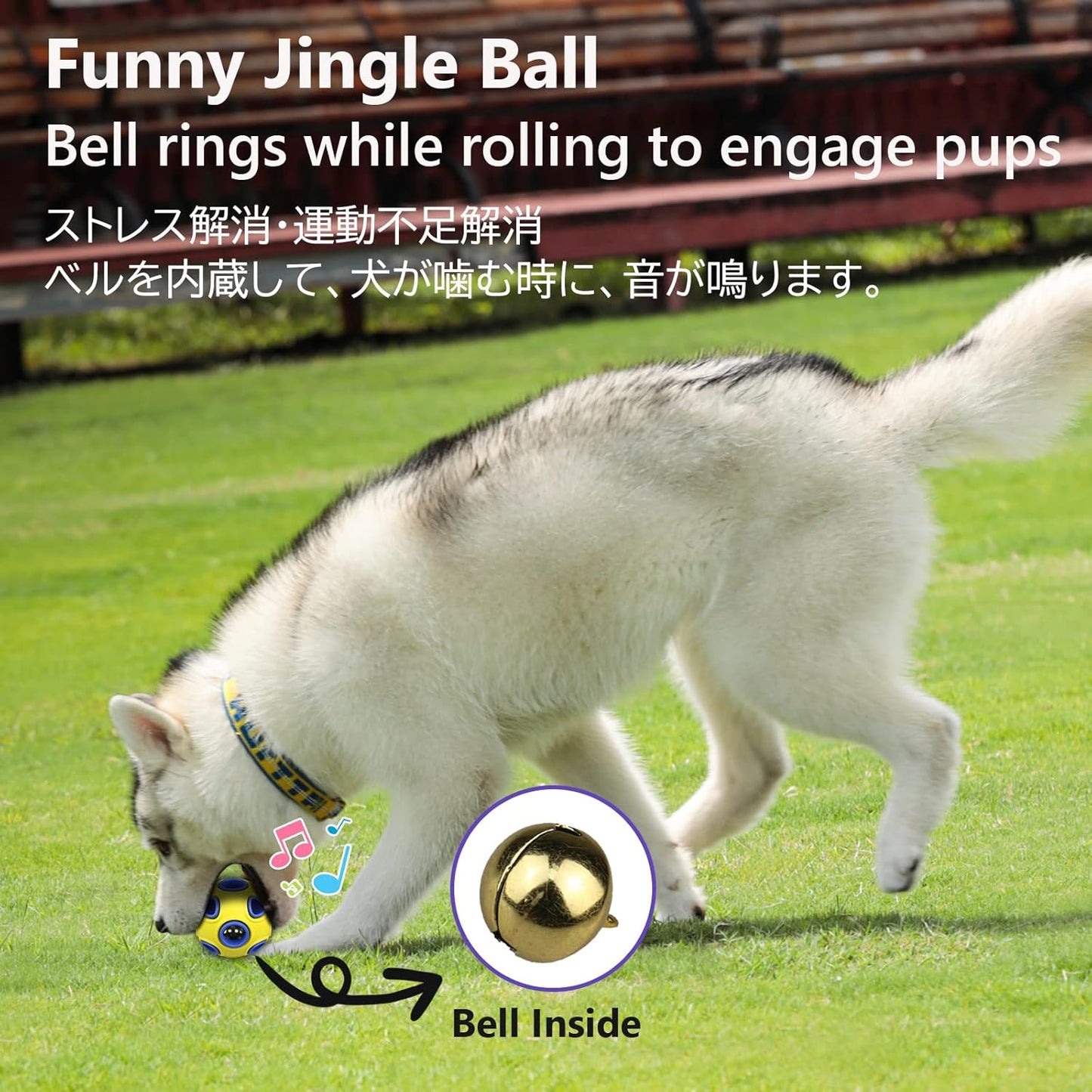 SCHITEC Dog Balls with Bell Sound