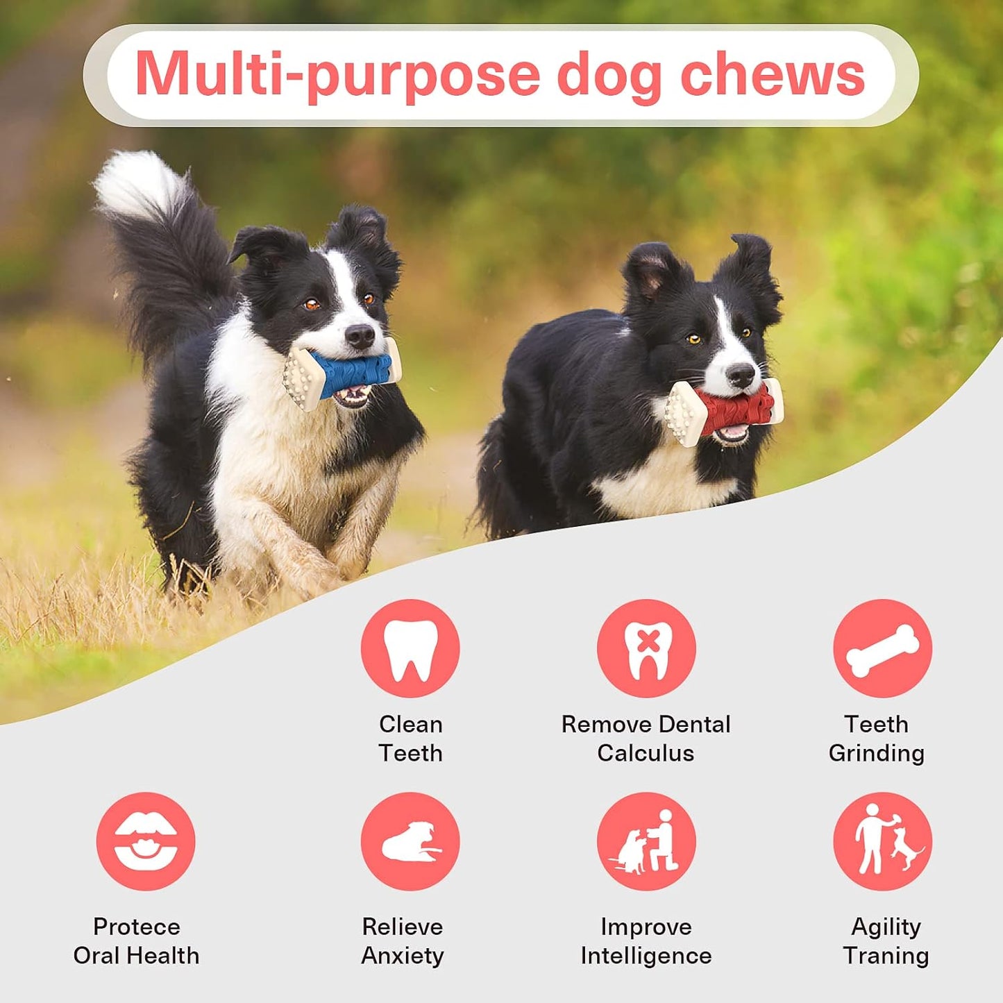 Tough Durable Dog Chew Toys for Aggressive Chewers