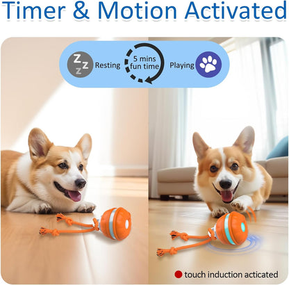 Interactive Dog Toys, Motion Activated Dog Ball