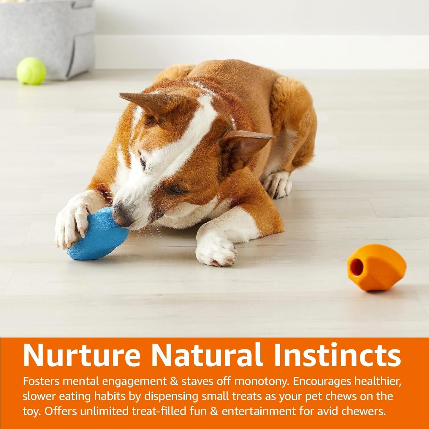 Basics Dog Treat Dispensing Enrichment Chew Toy