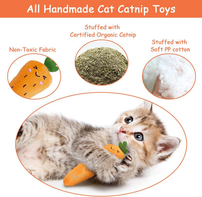 Catnip Toys for Cats