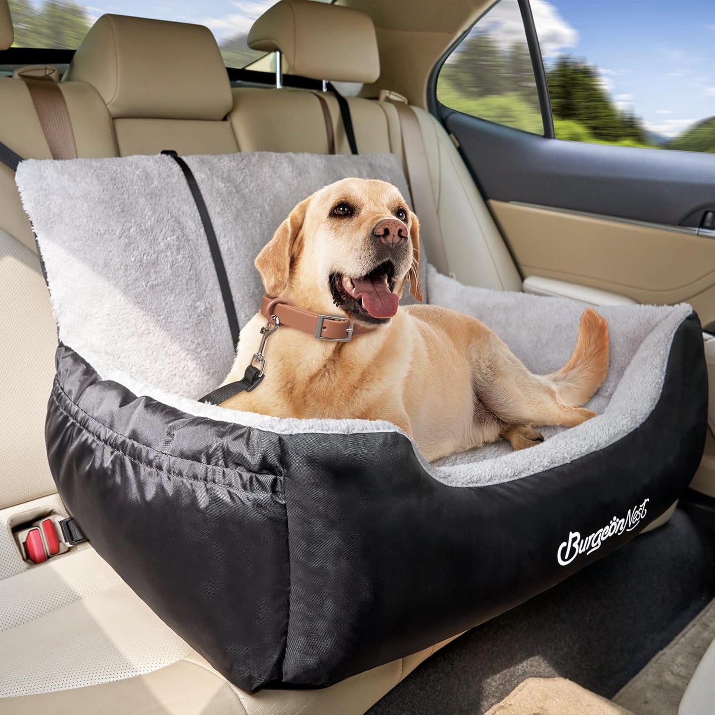 BurgeonNest Dog Car Seat for Small Dogs