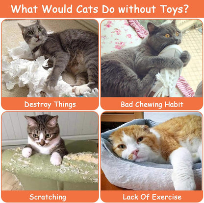 Catnip Toys for Cats