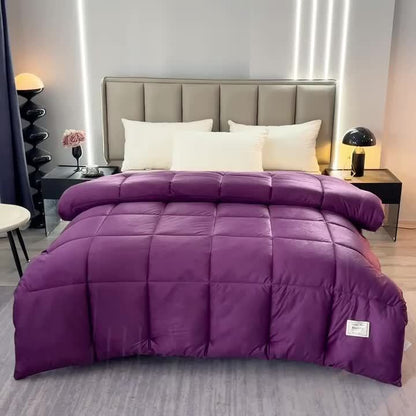 Bed Covers, [3pcs Violet Velvet Quilt Sets] 3pcs of violet double-sided milk velvet warm velvet quilt sets, suitable for use in autumn and winter (including 1 quilt insert + 2 pillowcases, excluding pillow inserts).