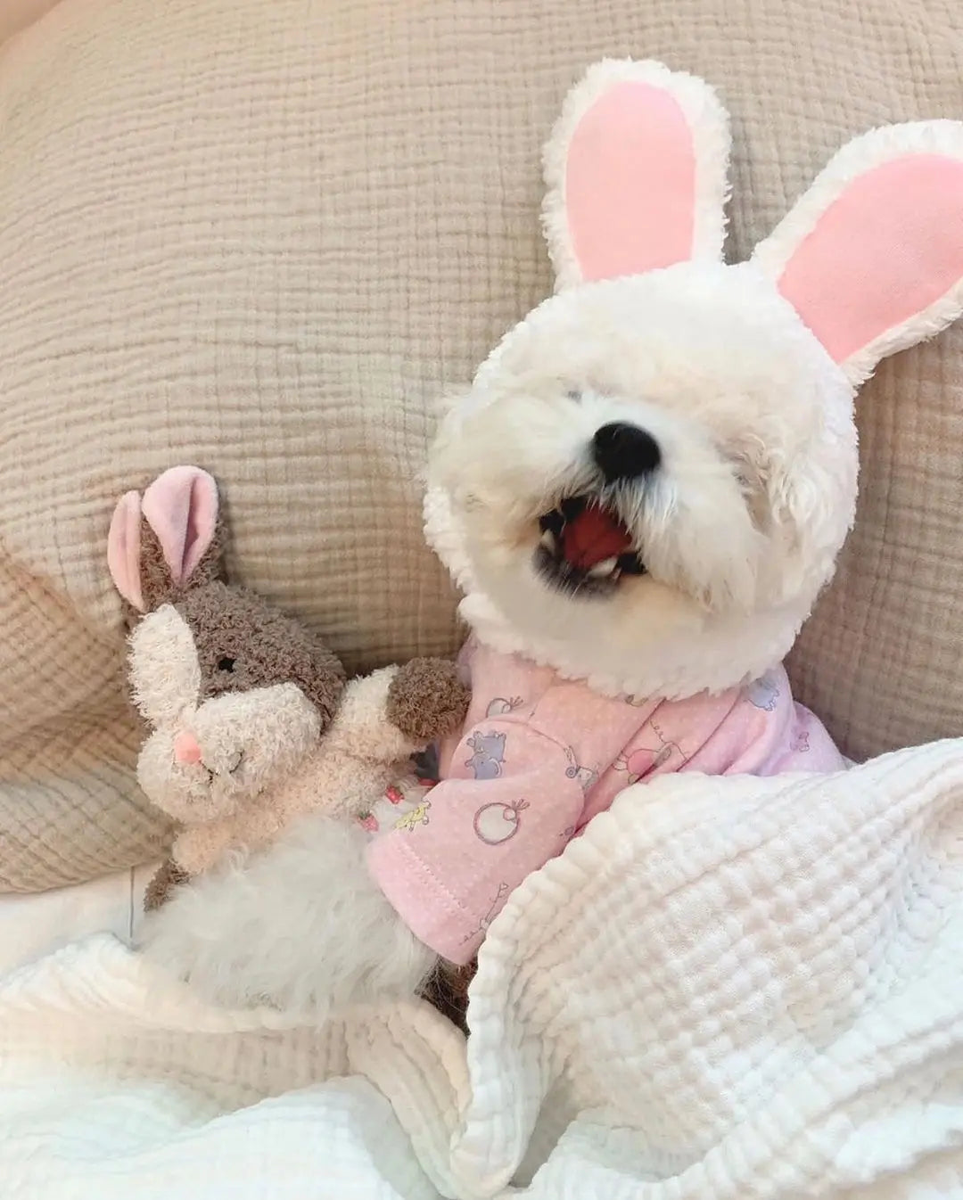 Dog Toy Bunny Squirrel Sleeping Accompanying Cute Pet Toy Pet Sounding Toy Dog Toothbrush Toy Cat Plush Dogs Pets Accessories