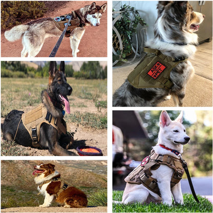 Military Large Dog Harness Training Pet Vest for French Bulldog German Shepherd Malinois Tactical Harnesses For Dogs Accessories