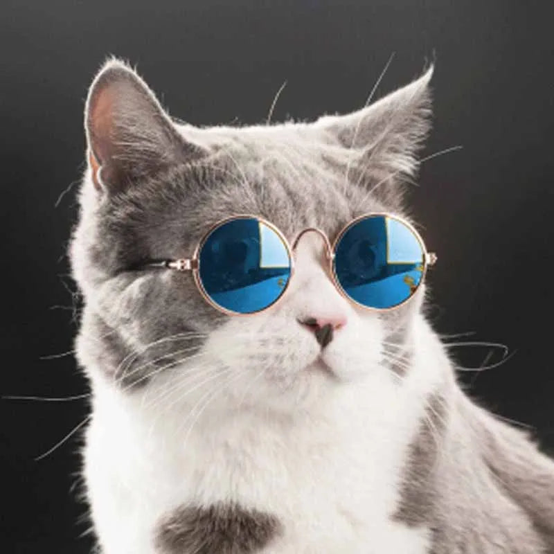 1PCs Pet Cat Glasses Dog Glasses Pet Product For Little Dog Cat Eye-Wear Sunglasses Reflection Photos Props Pet Cat Accessories