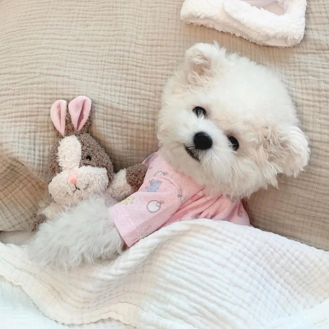 Dog Toy Bunny Squirrel Sleeping Accompanying Cute Pet Toy Pet Sounding Toy Dog Toothbrush Toy Cat Plush Dogs Pets Accessories