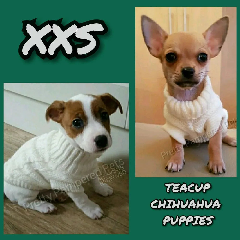 Size XXXS XXS XS Teacup Dog Sweater Cat Hoodie Clothes Kitten Knitted Jumper for Chihuahua Puppy Yorkie Maltese Pomeranian