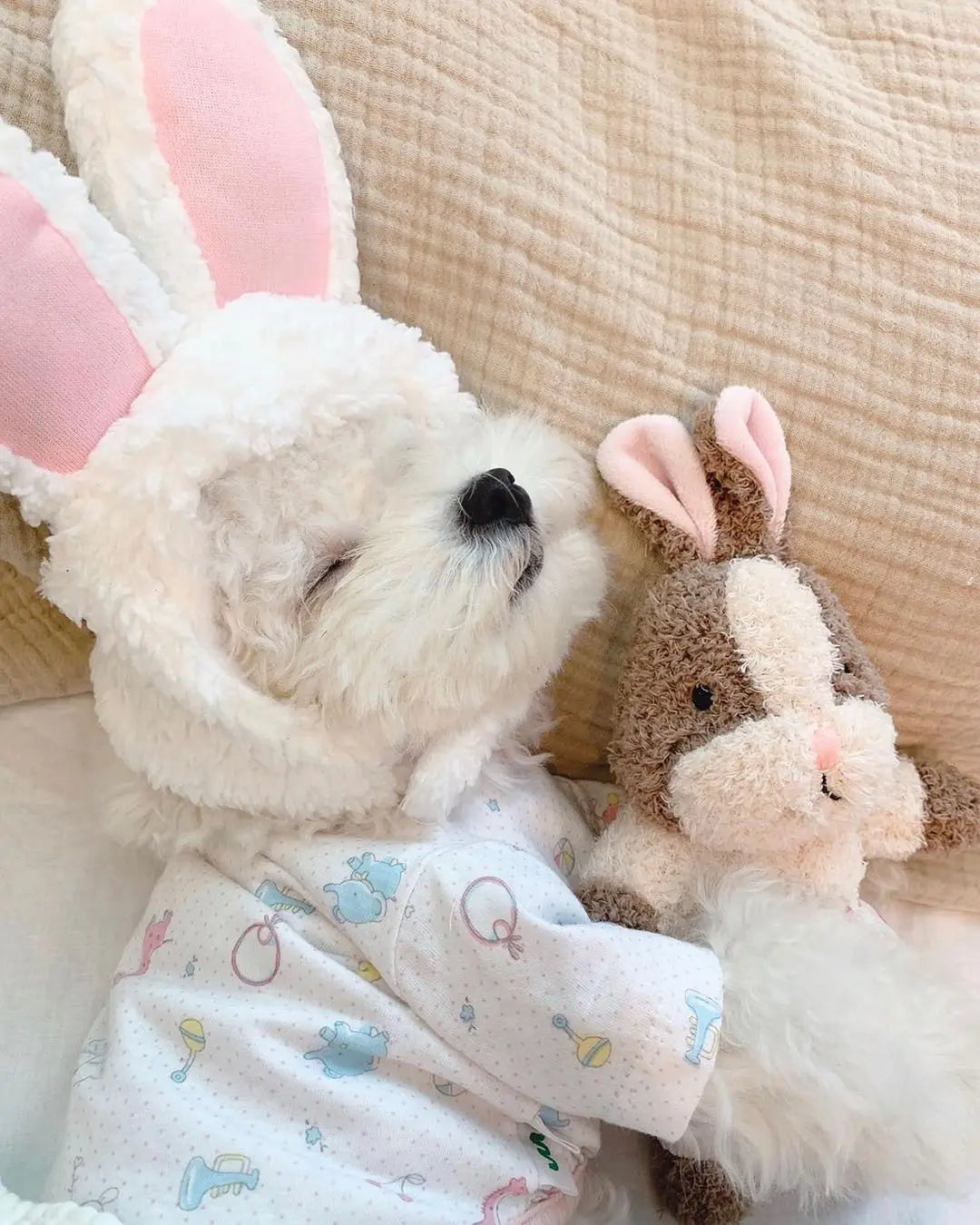 Dog Toy Bunny Squirrel Sleeping Accompanying Cute Pet Toy Pet Sounding Toy Dog Toothbrush Toy Cat Plush Dogs Pets Accessories