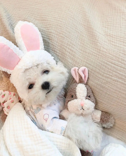 Dog Toy Bunny Squirrel Sleeping Accompanying Cute Pet Toy Pet Sounding Toy Dog Toothbrush Toy Cat Plush Dogs Pets Accessories