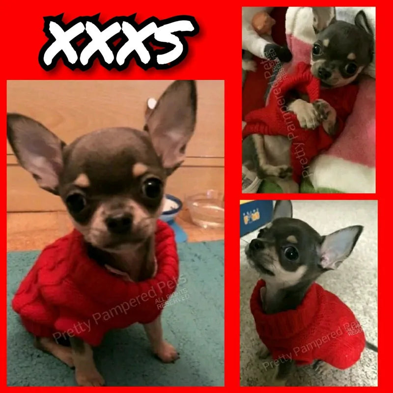 Size XXXS XXS XS Teacup Dog Sweater Cat Hoodie Clothes Kitten Knitted Jumper for Chihuahua Puppy Yorkie Maltese Pomeranian