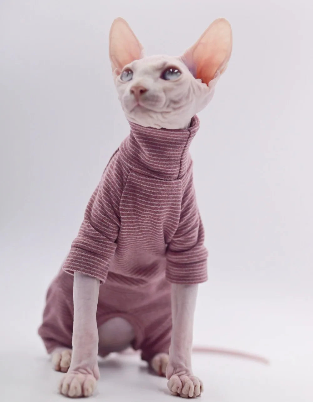 Hairless Cat Clothes Warm and Soft Four-Legged Hoodie for Sphynx Cats for Autumn and Winter for Devon Rex, Cornish