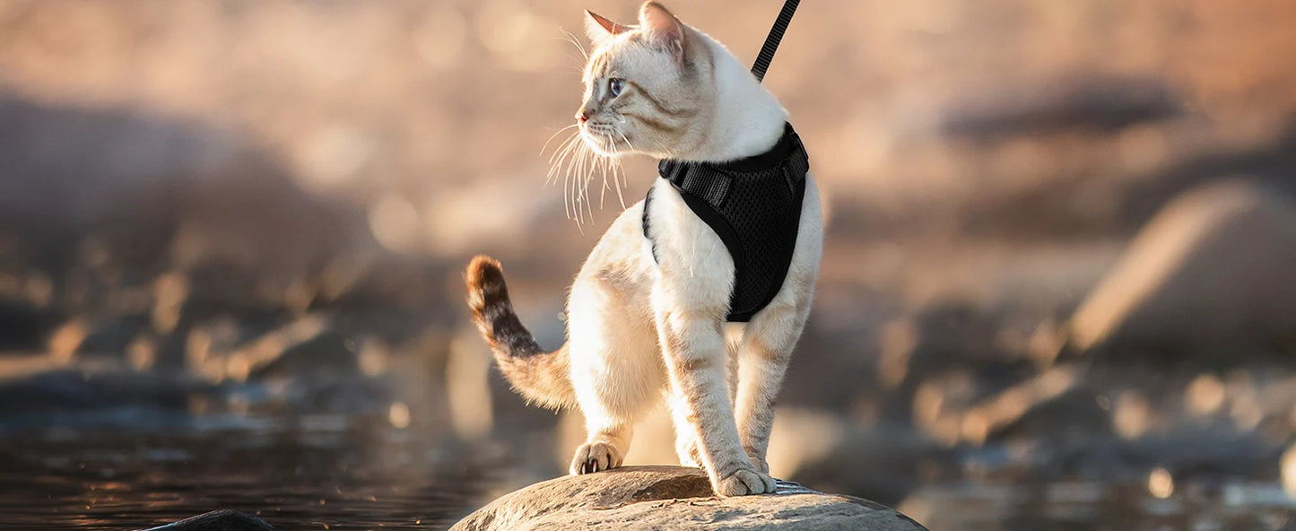 Cat Harness and Leash for Walking, Escape Proof Soft Adjustable Vest Harnesses for Cats, EasyControl