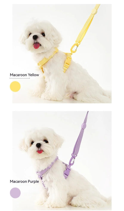 dog harness dog collar dog leash Macarone color cat accessories pet small dog accessories small dog harnessdog supplies