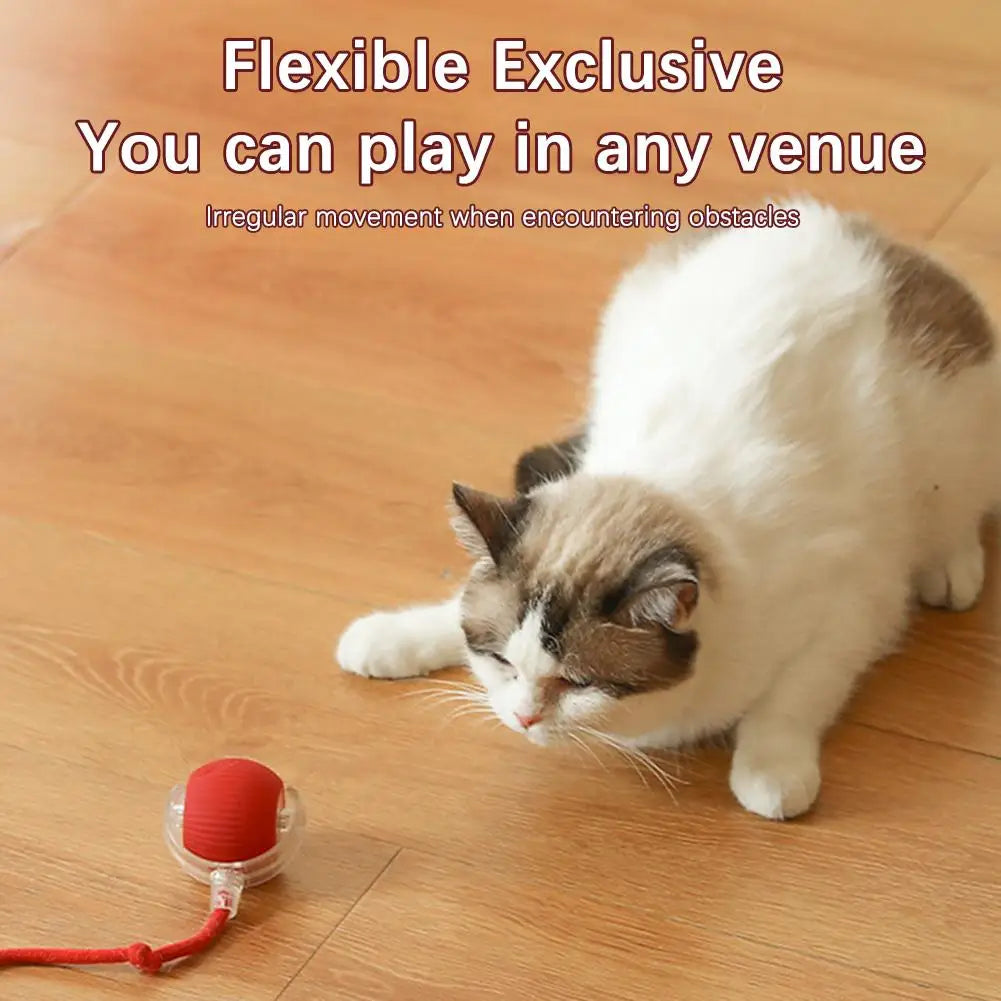 Cat Interactive Ball Toys Automatic Rolling Ball Faux Tail Rechargeable Smart Pet Electric Toy Dog Cat Training Imitate Mouse