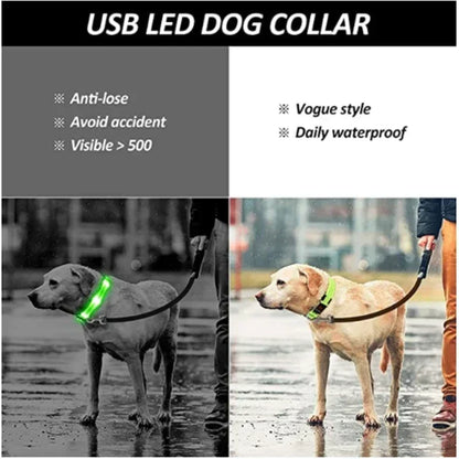 LED Glowing Dog Collar Adjustable Flashing Rechargea Luminous Collar Night Anti-Lost Dog Light HarnessFor Small Dog Pet Products