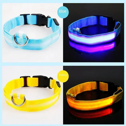 LED Glowing Dog Collar Adjustable Flashing Rechargea Luminous Collar Night Anti-Lost Dog Light HarnessFor Small Dog Pet Products