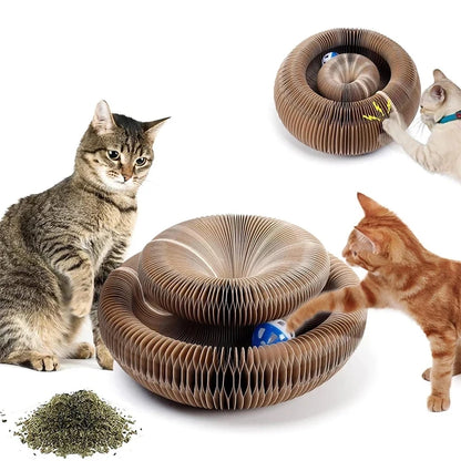 Magic Organ Cat Toy Cats Scratcher Scratch Board Round Corrugated Scratching Post Toys for Cats Grinding Claw Cat Accessories