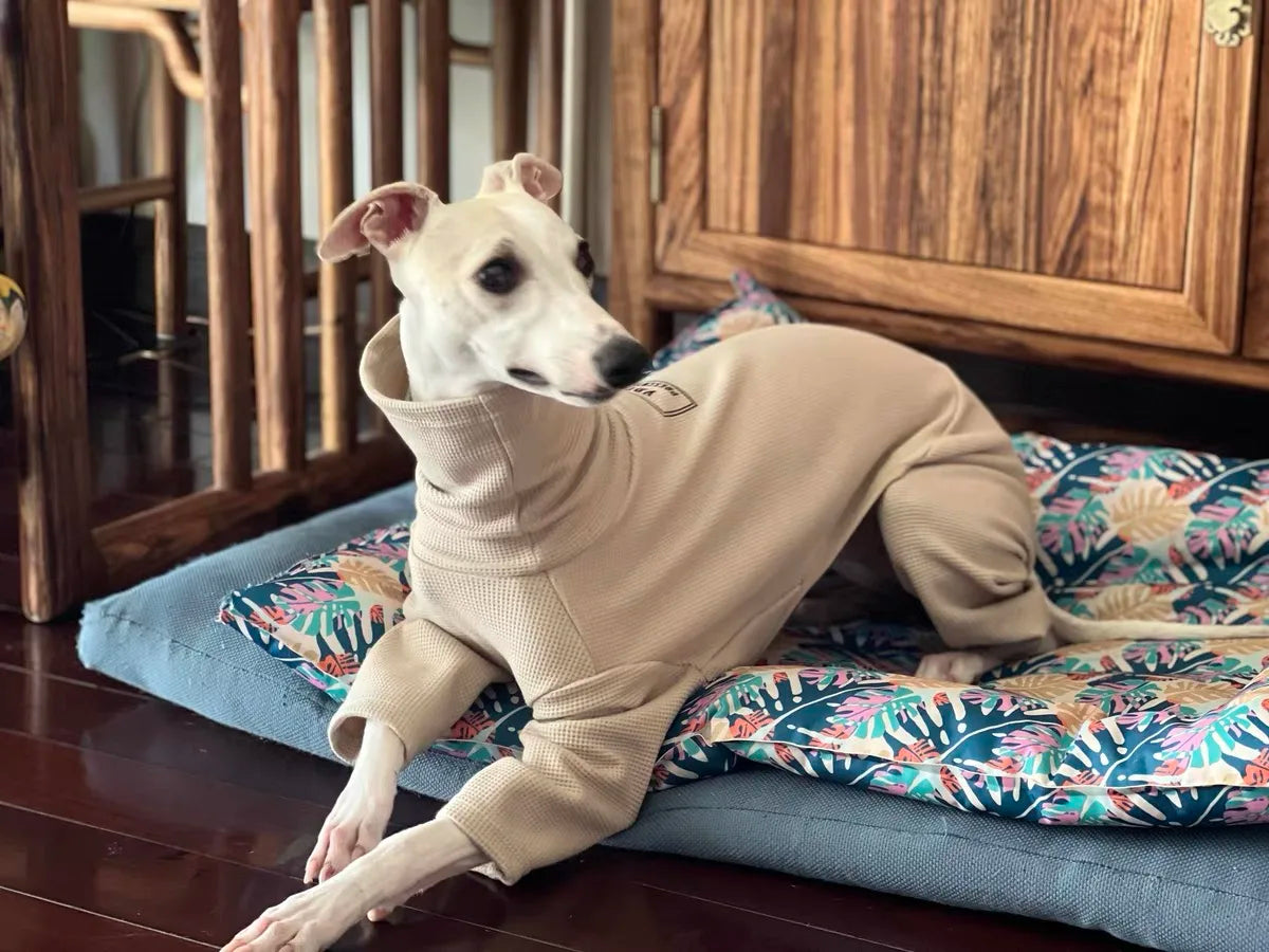 Fashion Breathable Waffle Coat for Whippet Berlington Terrier Spring Autumn 4-legged Soft Jumpsuit for Greyhound Pet Supplier