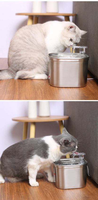 Cats Water Fountain Stainless Steel Auto Running Cat Water Drinker With Filter Motion Sensor Transparent Pets Drinking Dispenser