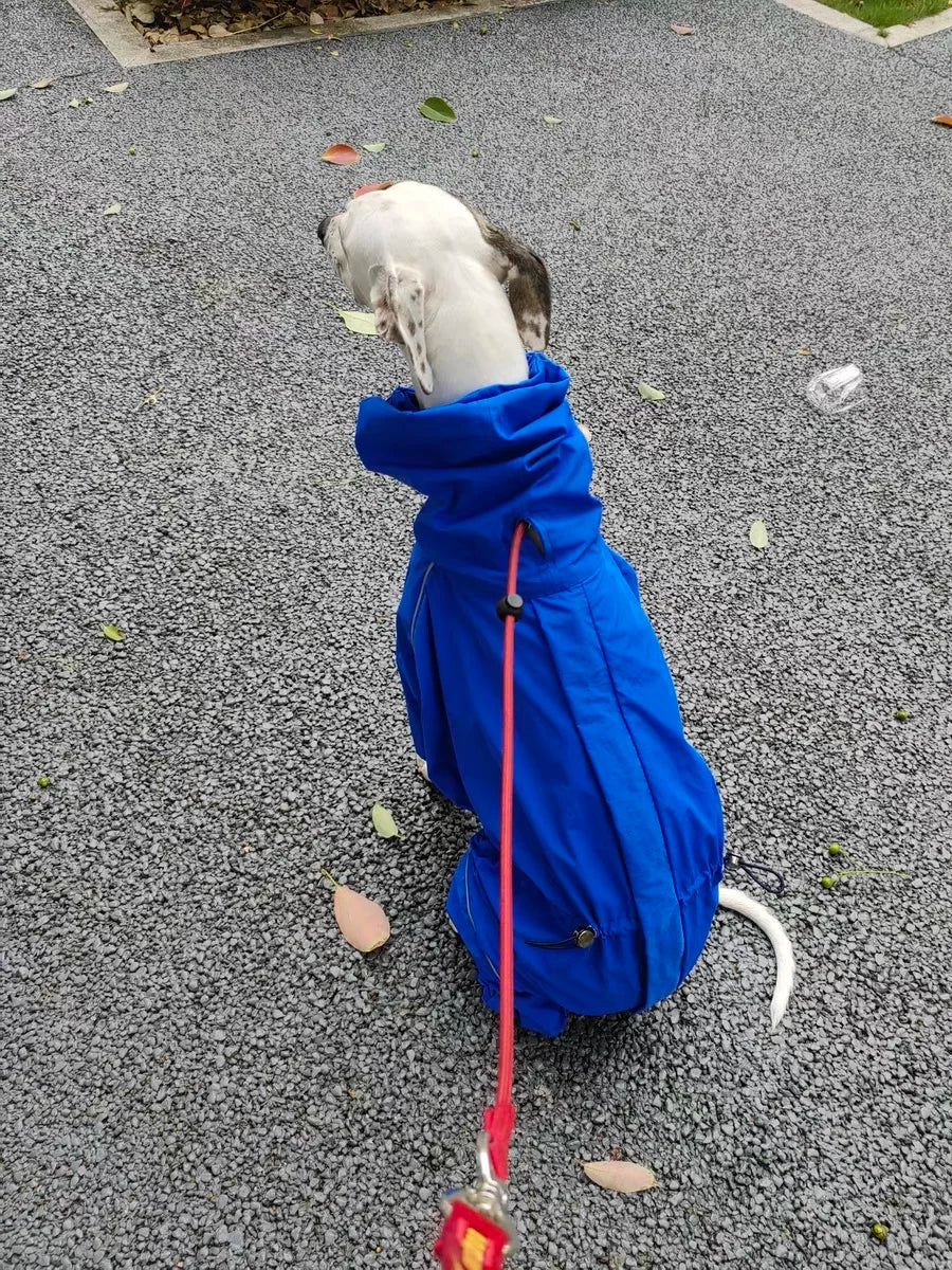 Fashion Waterproof Italy Greyhound Dog Clothes Windproof 4-legged Dog Raincoat Blue Jacket Coat Soft Loungewear for Bellington