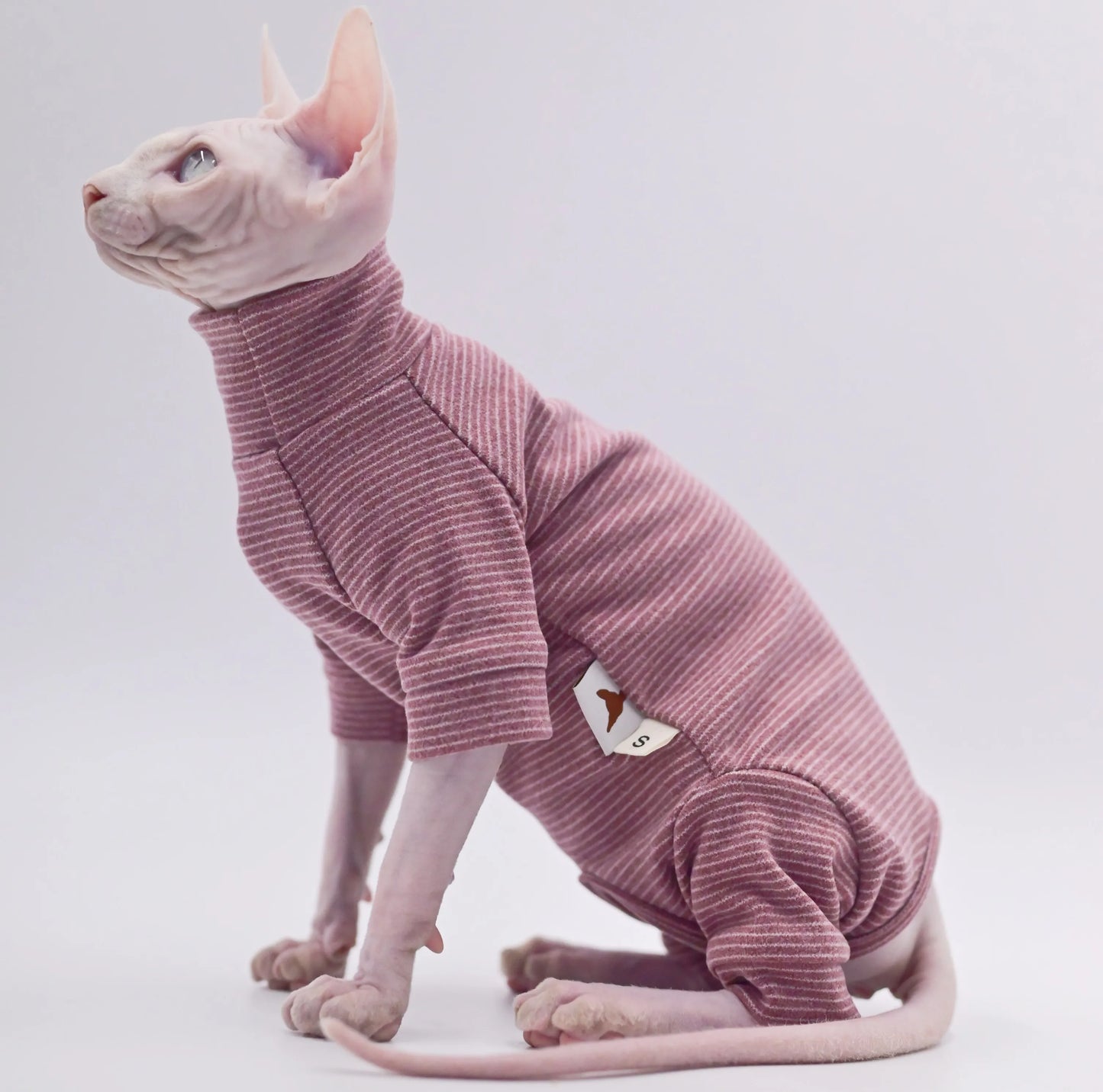 Hairless Cat Clothes Warm and Soft Four-Legged Hoodie for Sphynx Cats for Autumn and Winter for Devon Rex, Cornish