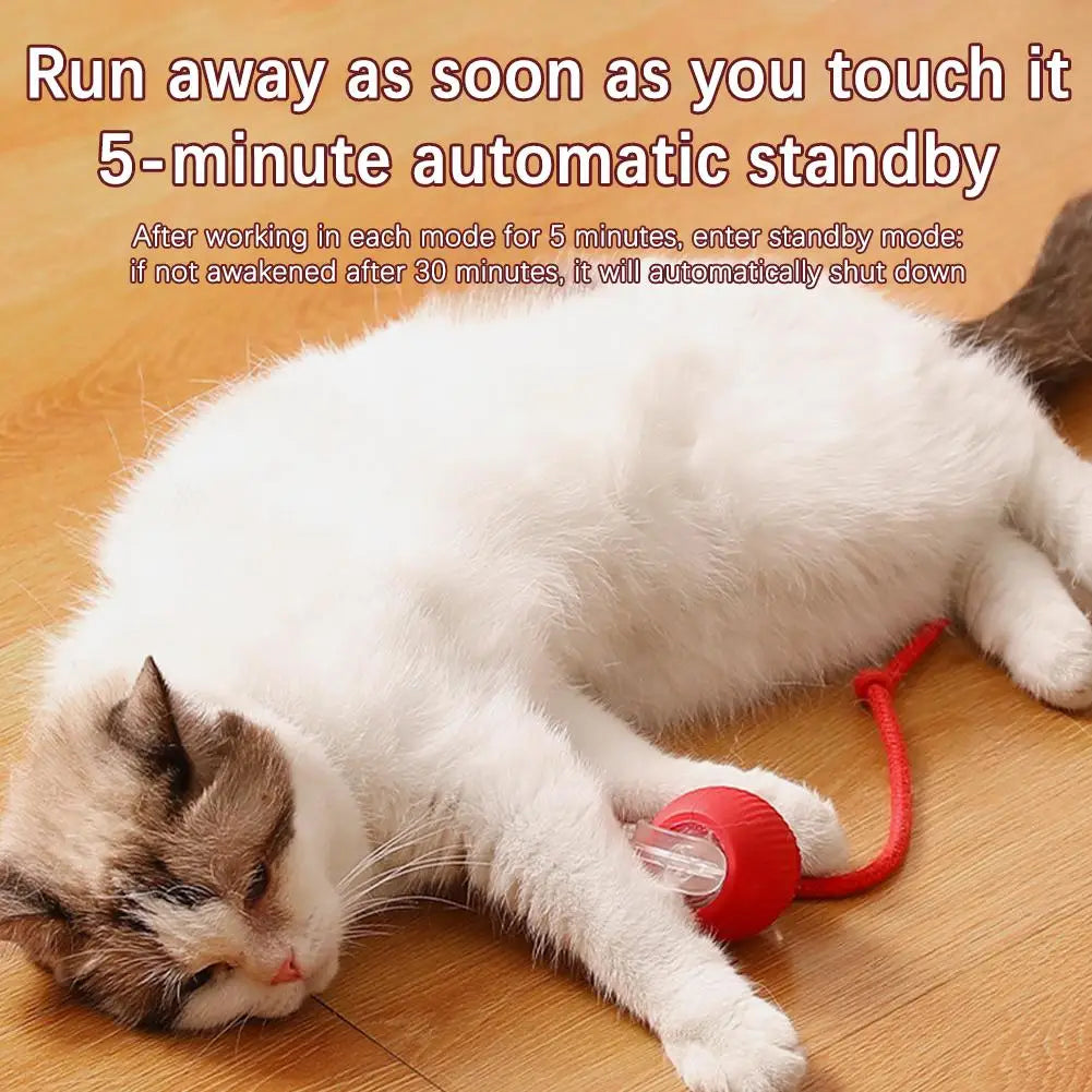 Cat Interactive Ball Toys Automatic Rolling Ball Faux Tail Rechargeable Smart Pet Electric Toy Dog Cat Training Imitate Mouse