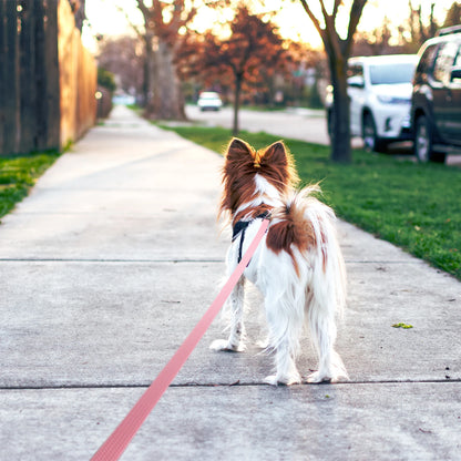 1.8M 3M 5M 10M  PVC Dog Leash large dog Medium non-slip Waterproof and easy to clean running dog training Leash long strong