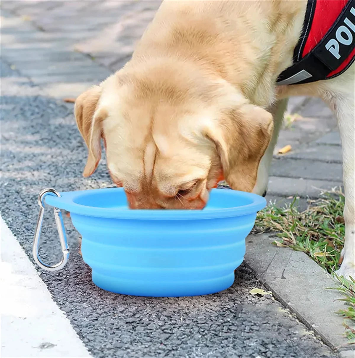 350/600ml Collapsible Dog Pet Folding Silicone Bowl Outdoor Travel Portable Puppy Food Container Feeder Dish Bowl Pet supplies