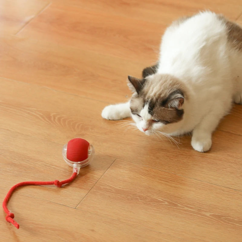 Cat Interactive Ball Toy, Automatic Rolling Ball with Tail, Rechargeable Smart Pet Interactive Toy, Intelligent Mouse for Cat