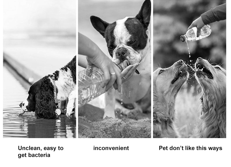 2 In 1 Portable Dog Water Bottle For Small Large Dogs Cats Outdoor Walking Drinking Bowls Pet Feeder Puppy Chihuahua Supplies