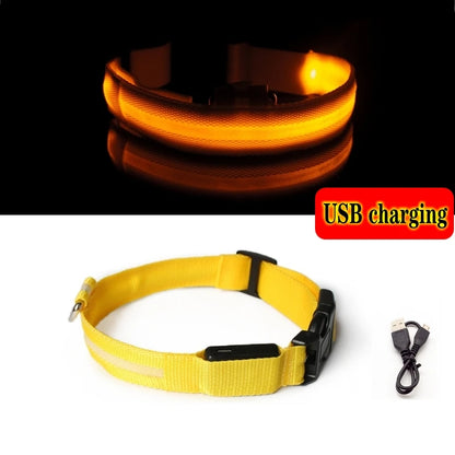 Led Dog Collar Light Anti-lost Collar For Dogs Puppies  Night Luminous Supplies Pet Products Accessories USB Charging/Battery