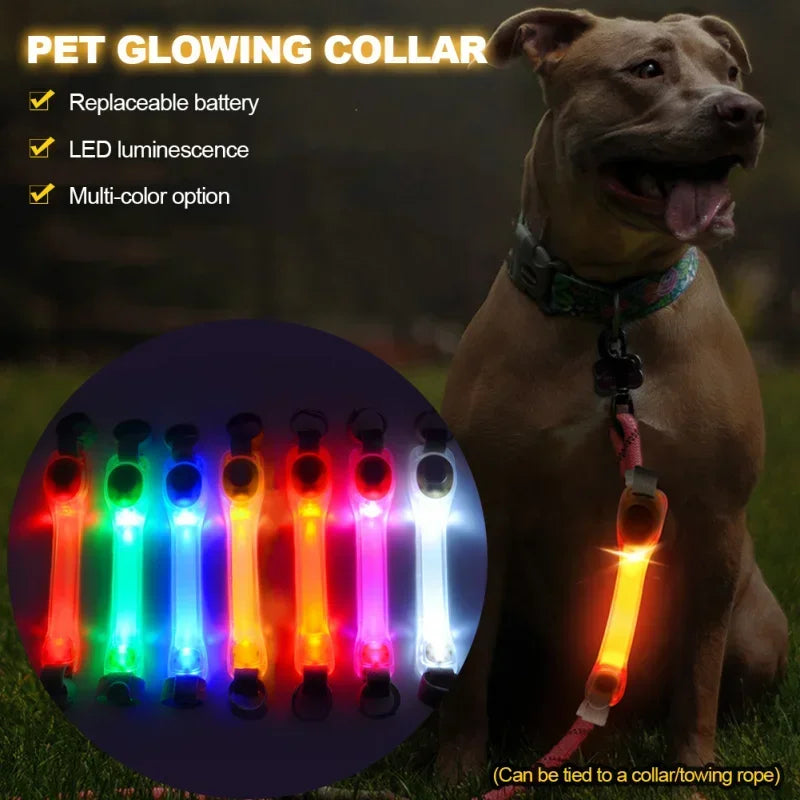 Waterproof Dog Anti-Lost Safety Glowing Collar,Multi-Color Pendants and Outdoor-Ready Flashing LED Light Strip, Night Visibility