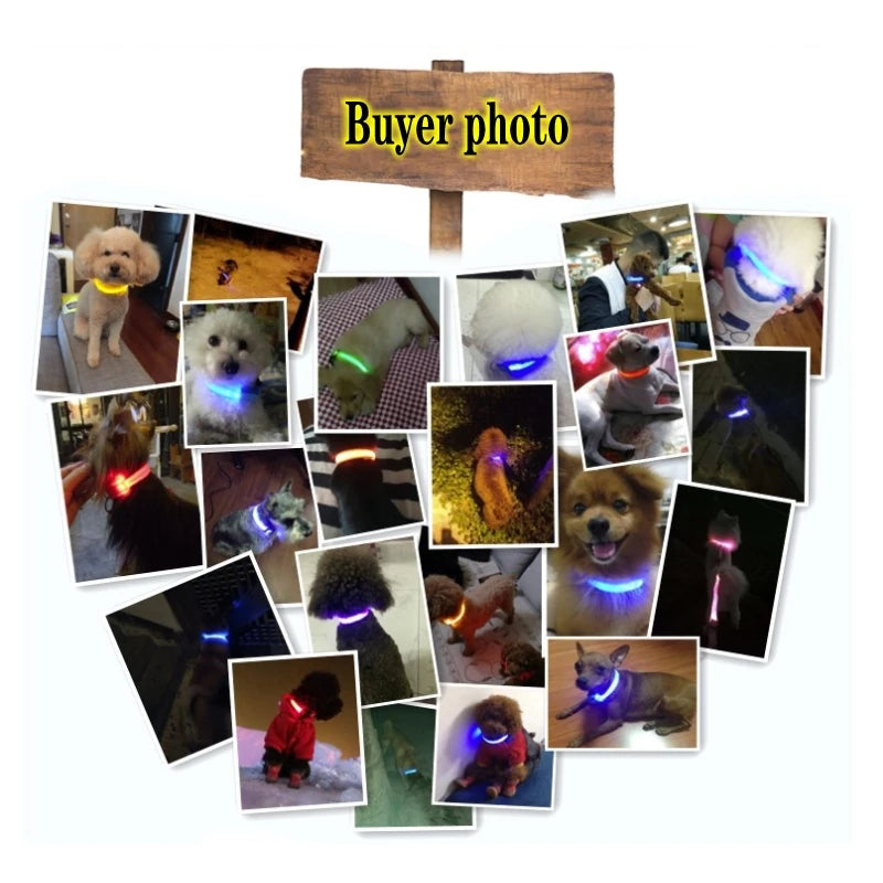 Led Dog Collar Light Anti-lost Collar For Dogs Puppies  Night Luminous Supplies Pet Products Accessories USB Charging/Battery