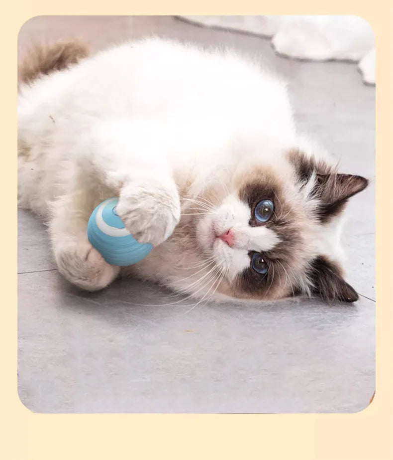 Smart Cat Rolling Ball Toys Rechargeable Cat Toys Ball Motion Ball Self-moving Kitten Toys for Indoor Interactive Playing 고양이