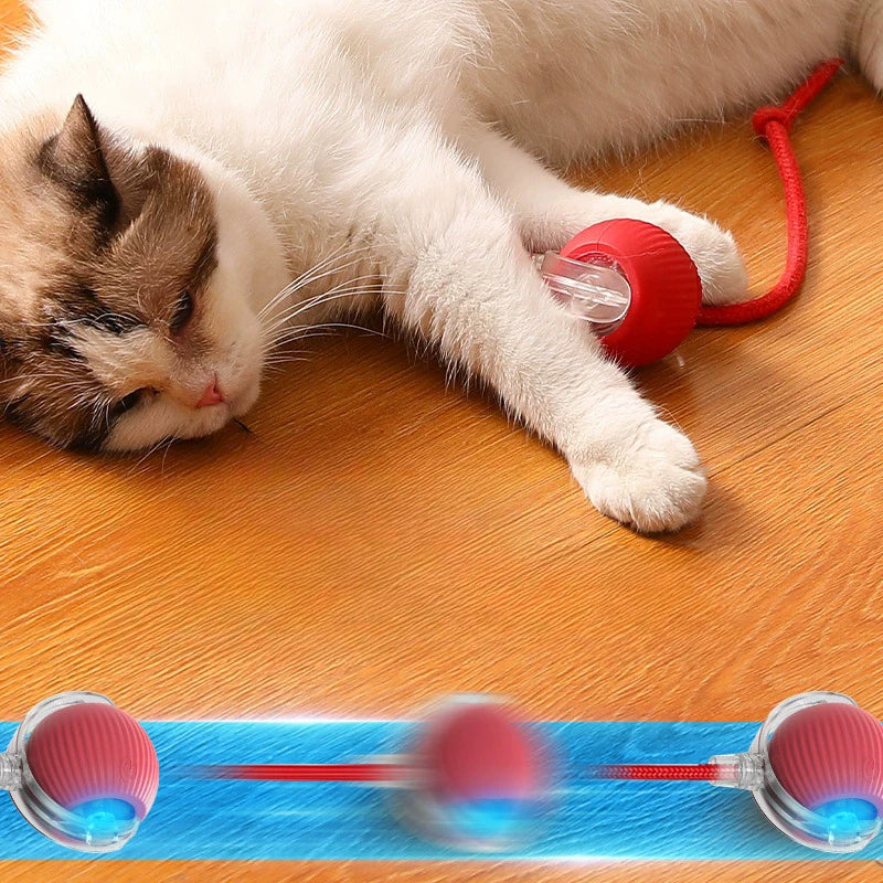 Cat Interactive Ball Toy, Automatic Rolling Ball with Tail, Rechargeable Smart Pet Interactive Toy, Intelligent Mouse for Cat