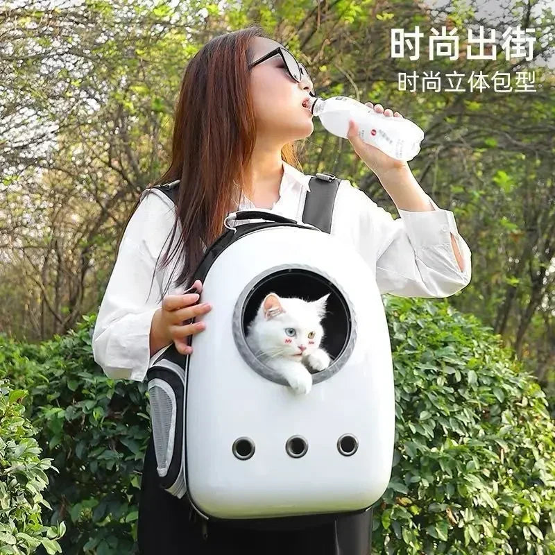 Cat bag portable cat backpack pet space capsule bag dog backpack cat cage book bag cat supplies