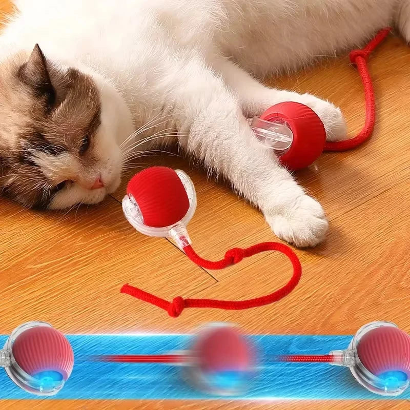 Hot Electric Dog Ball Toys Automatic Rolling Ball Rechargeable Smart Pet Interactive Plush Toy Dog Cat Training Imitate Mouse