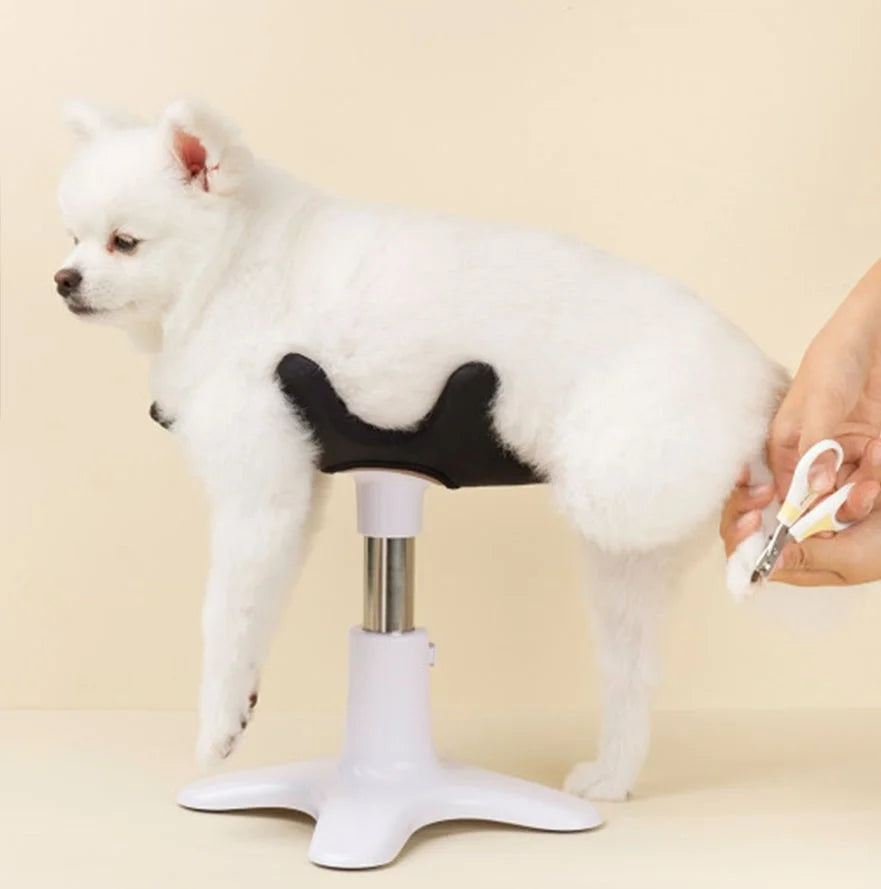 Pet Shower Grooming Care Table Dog Bathing Fixed Auxiliary Stand Adjustable Pet Blow Dryer Fixed Stand Bracket Dog Accessories