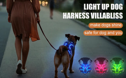 LED Glowing Luminous Dog Harnesses Essential for Dog Walking Safety at Night Dog Vest with Three LED Light Modes Rechargeable