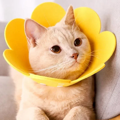 Flower Shape Cat Recovery Collar Adjustable Wound Healing Protective Cone Collars For Cats Kitten Small Dogs Pupply