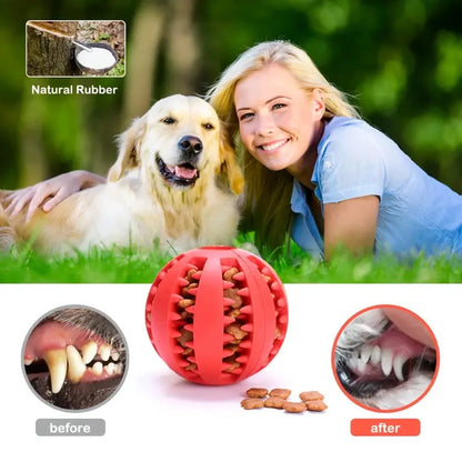 Pet Toy Tooth Cleaning Ball Bite Resistant Small, Medium and Large Dog Food Leakage Toy Relief Molar Elastic Ball